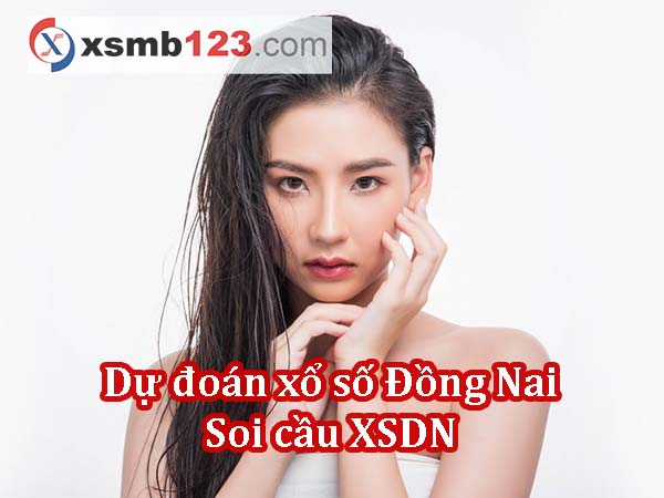 Dự đoán XSDN ngày 28/08/2024